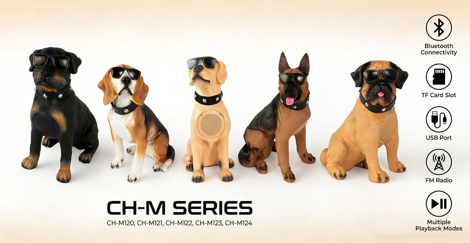 BT Speaker-CH-M Series - Image 2