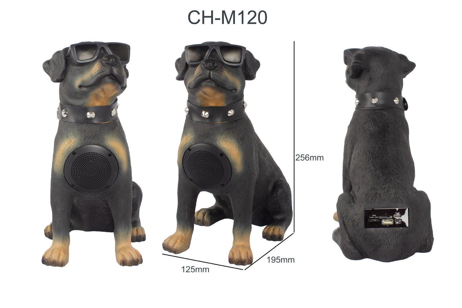 BT Speaker-CH-M Series - Image 5