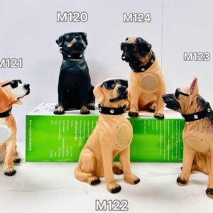 BT Speaker​-CH-M Series