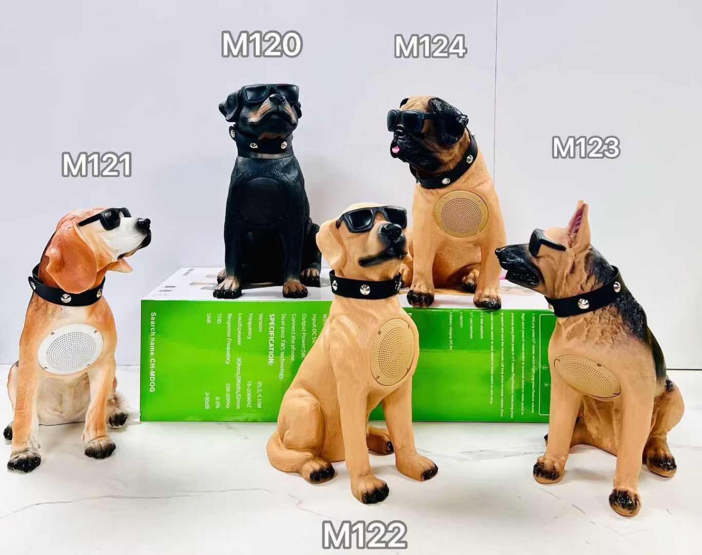 BT Speaker-CH-M Series