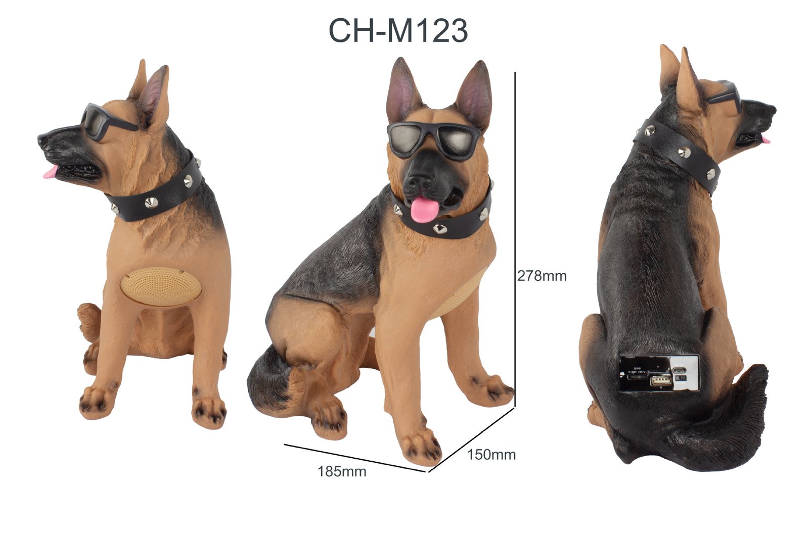 BT Speaker-CH-M Series - Image 14