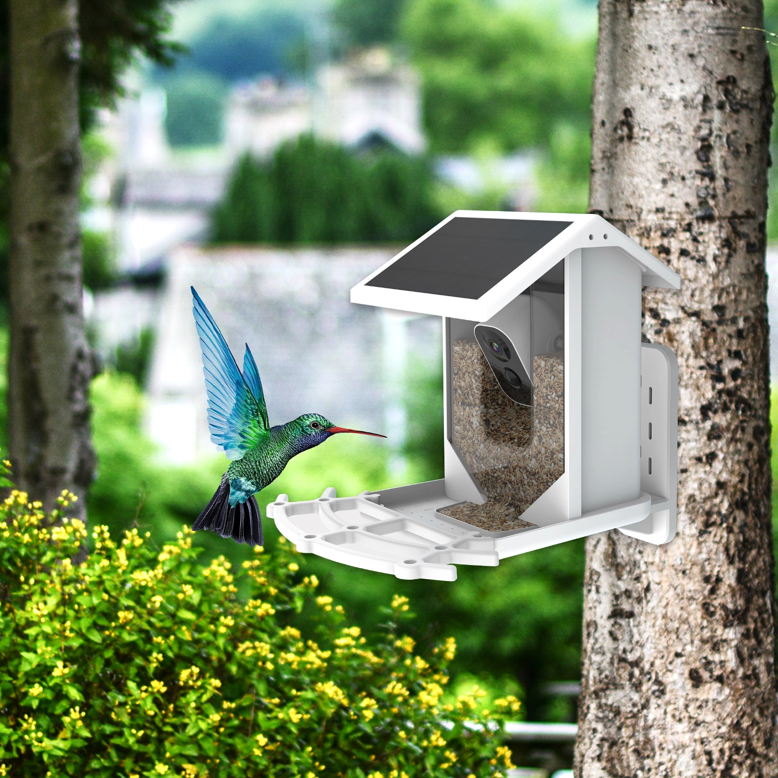 2.5L Capacity Smart Bird Feeder - Image 2