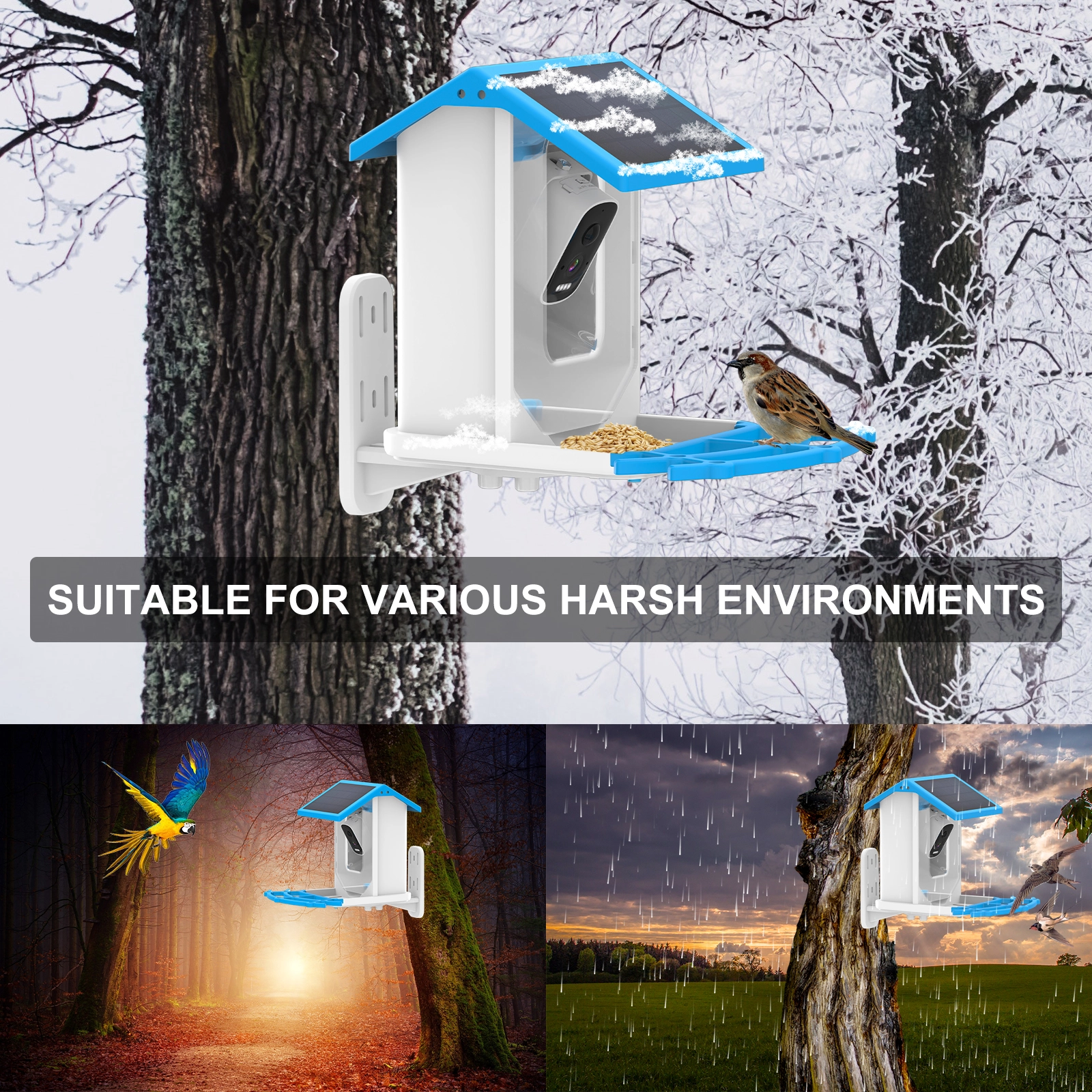 2.5L Capacity Smart Bird Feeder - Image 3