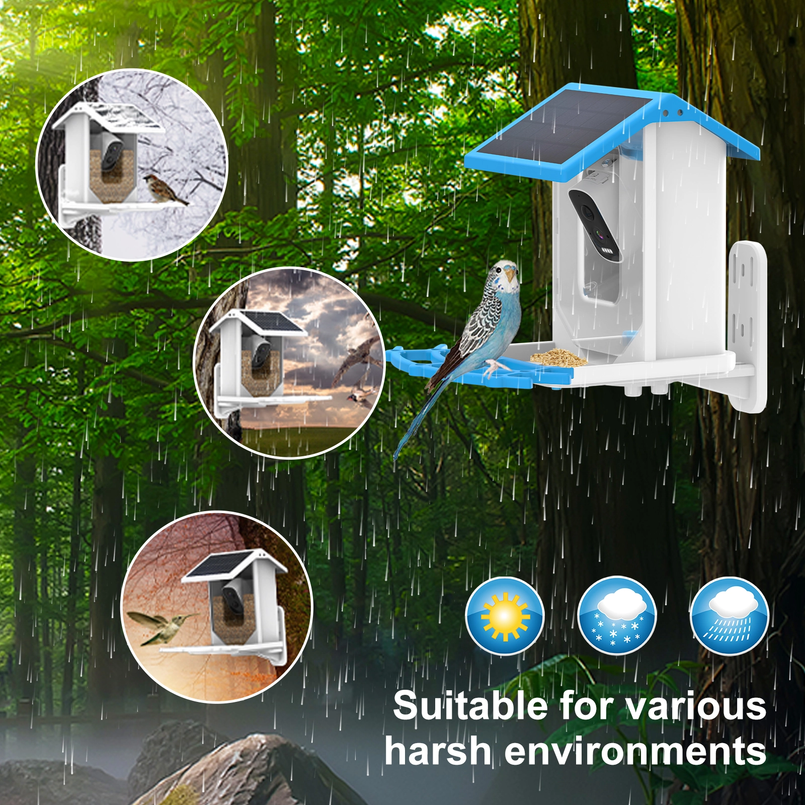 2.5L Capacity Smart Bird Feeder - Image 5