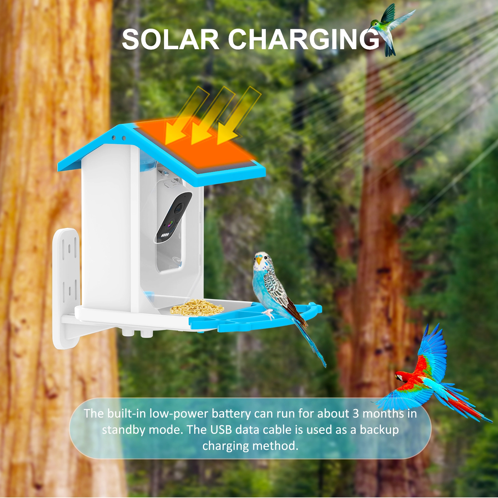 2.5L Capacity Smart Bird Feeder - Image 6