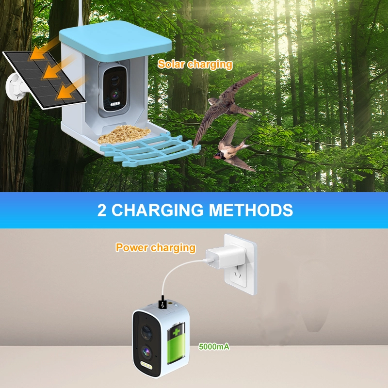 Plastic Smart Bird Feeder - Image 3