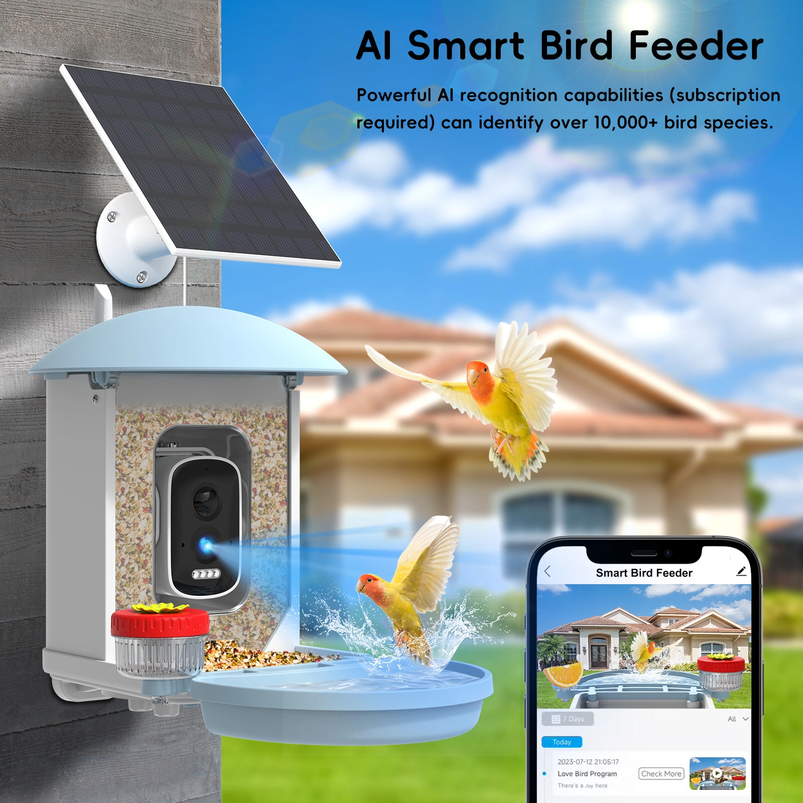 Smart AI Bird Feeder - Image 2