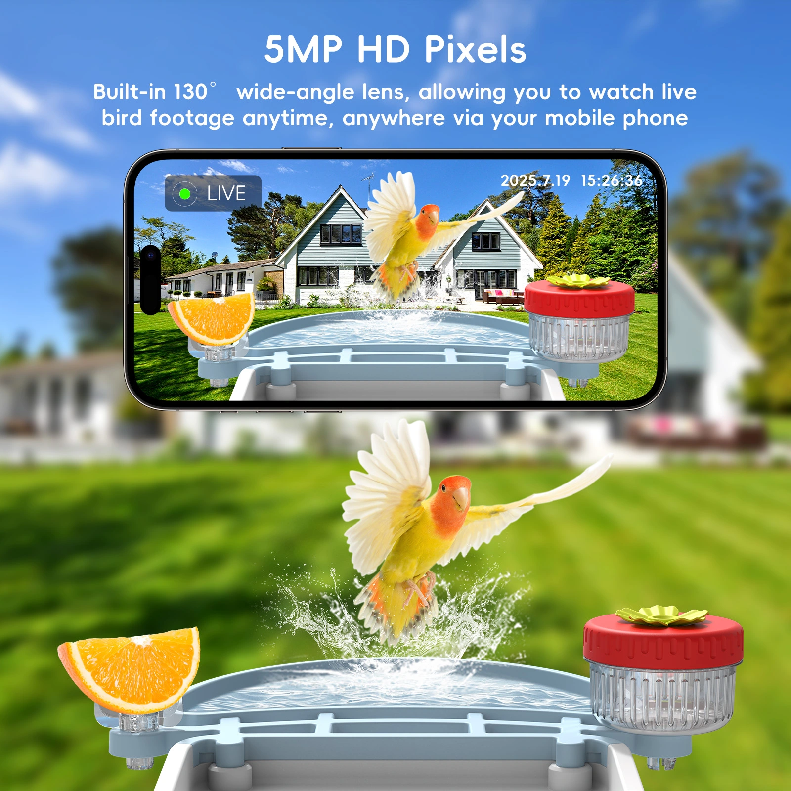 Smart AI Bird Feeder - Image 5