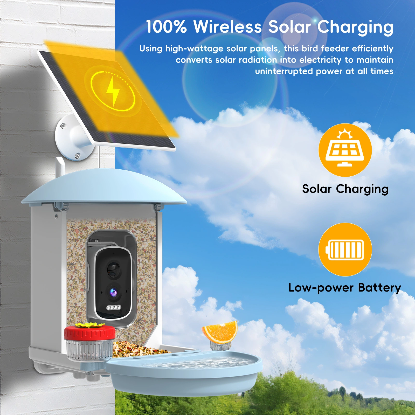 Smart AI Bird Feeder - Image 6