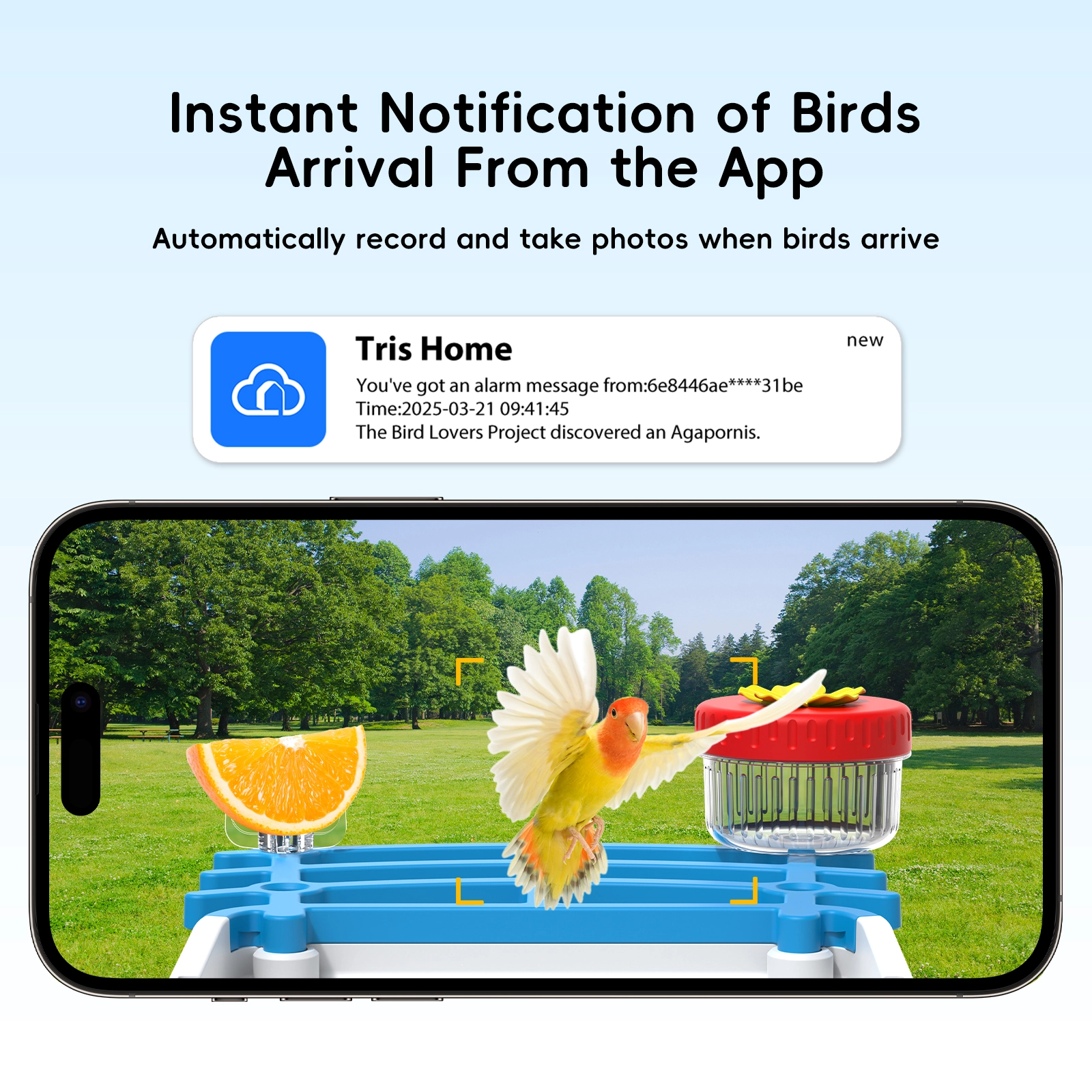 Plastic Smart Al Bird Feeder - Image 3