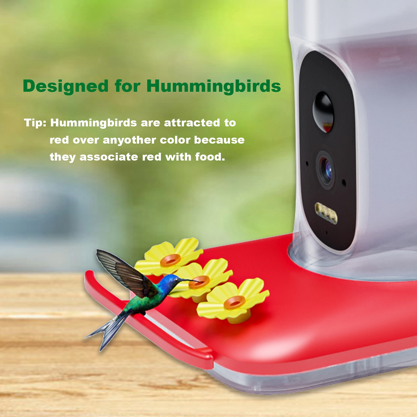 Hummingbird Water Dispenser - Image 4