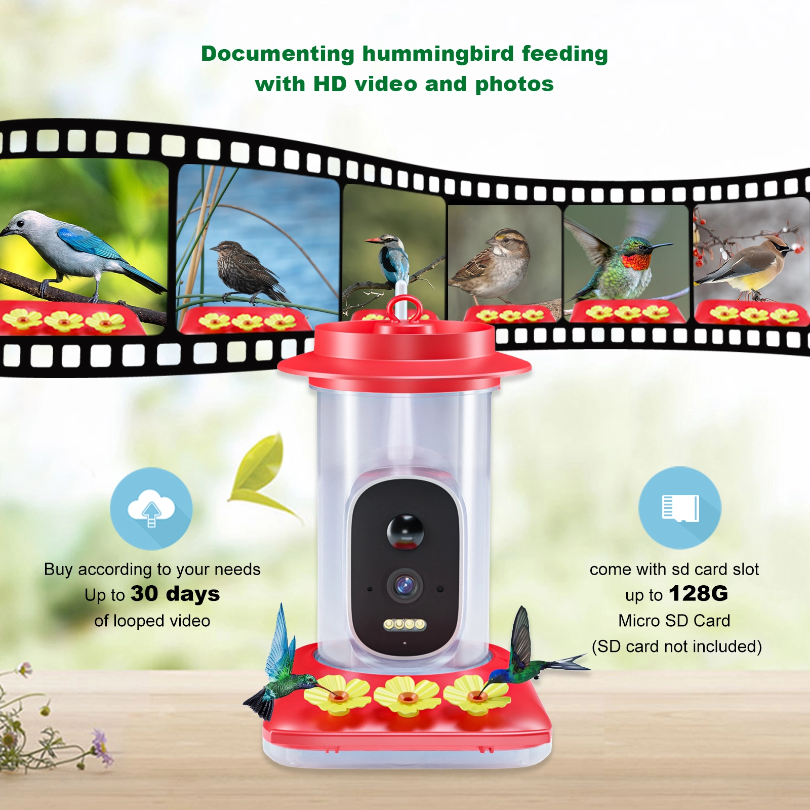 Hummingbird Water Dispenser - Image 6