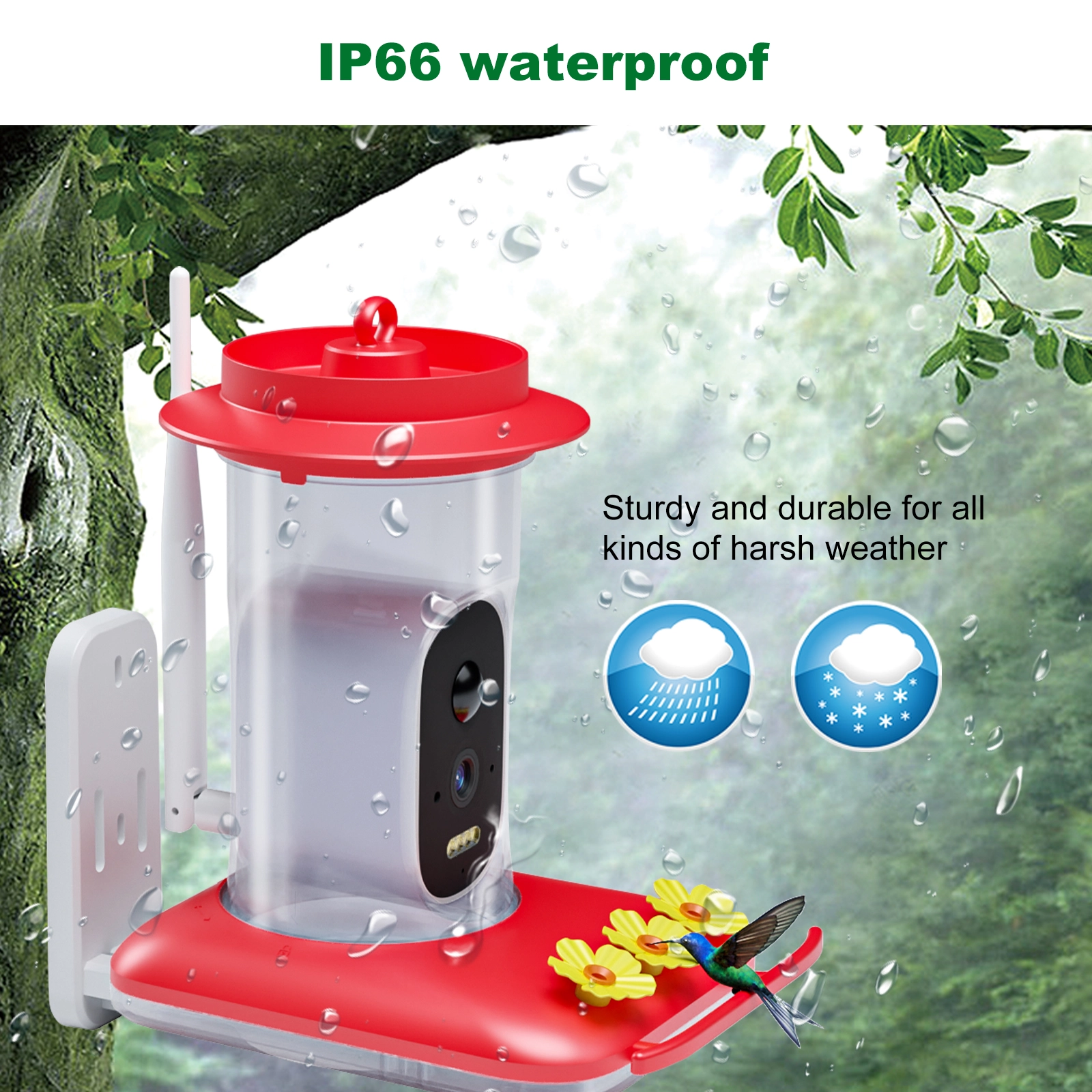 Hummingbird Water Dispenser - Image 8
