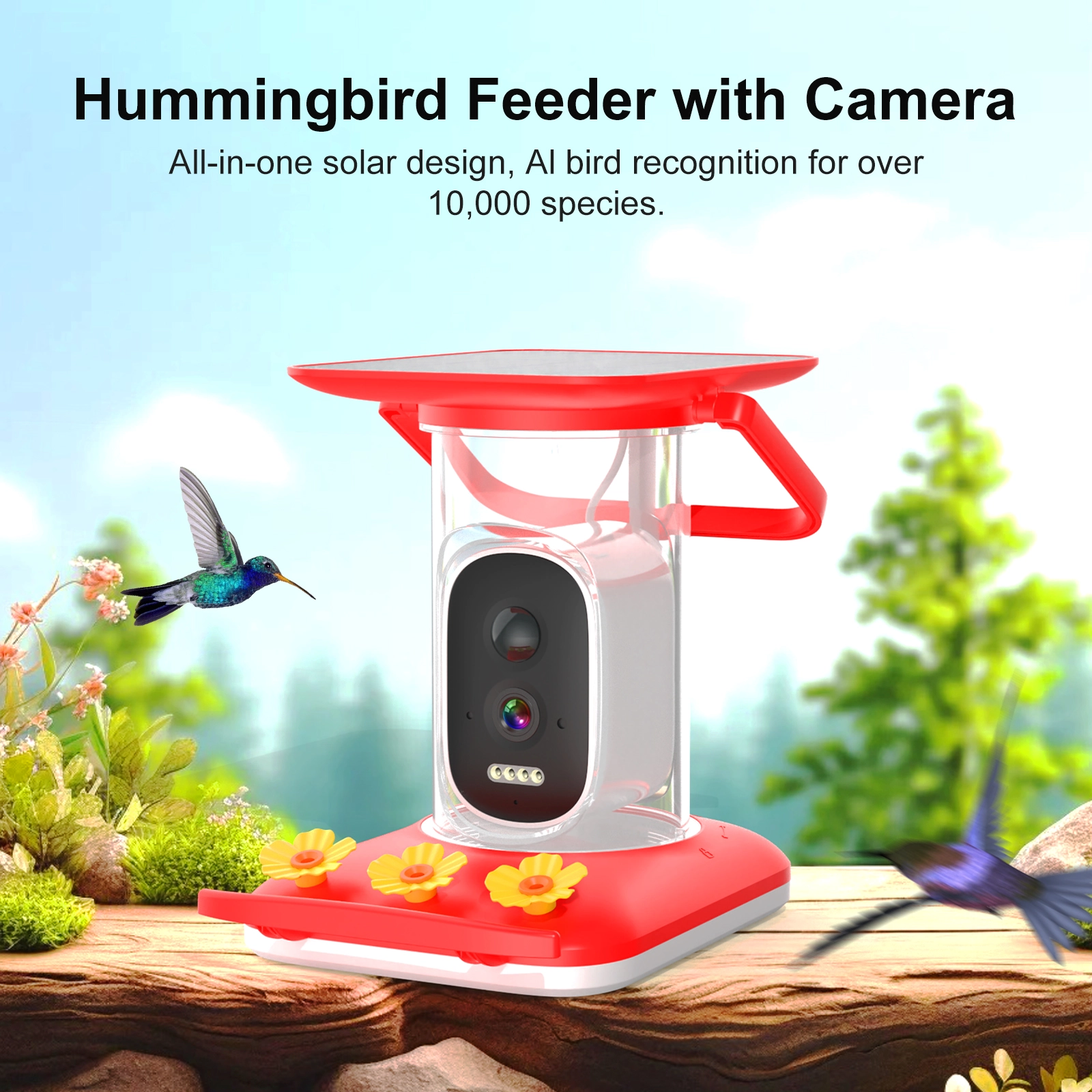 Smart Hummingbird Feeder - Image 2
