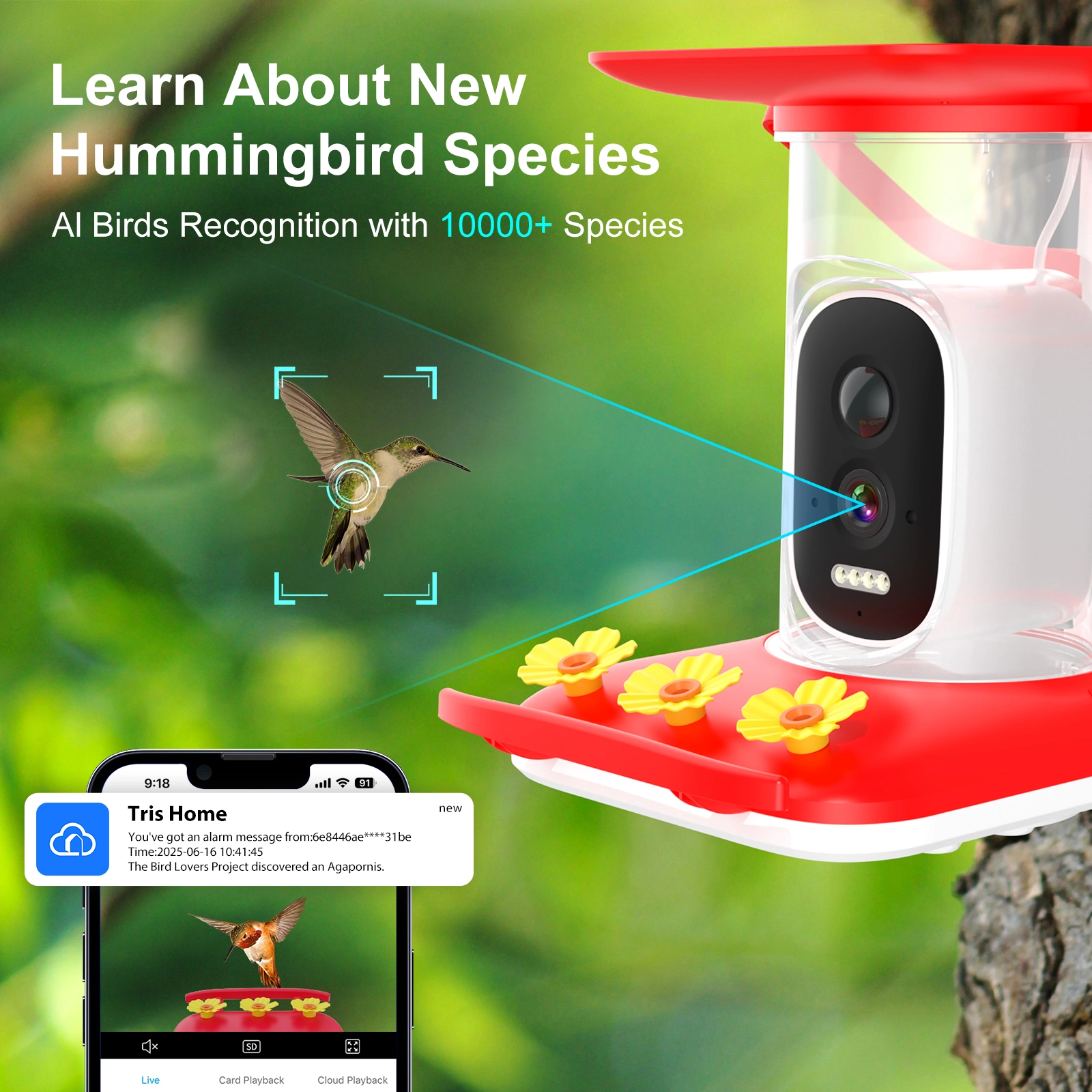 Smart Hummingbird Feeder - Image 3