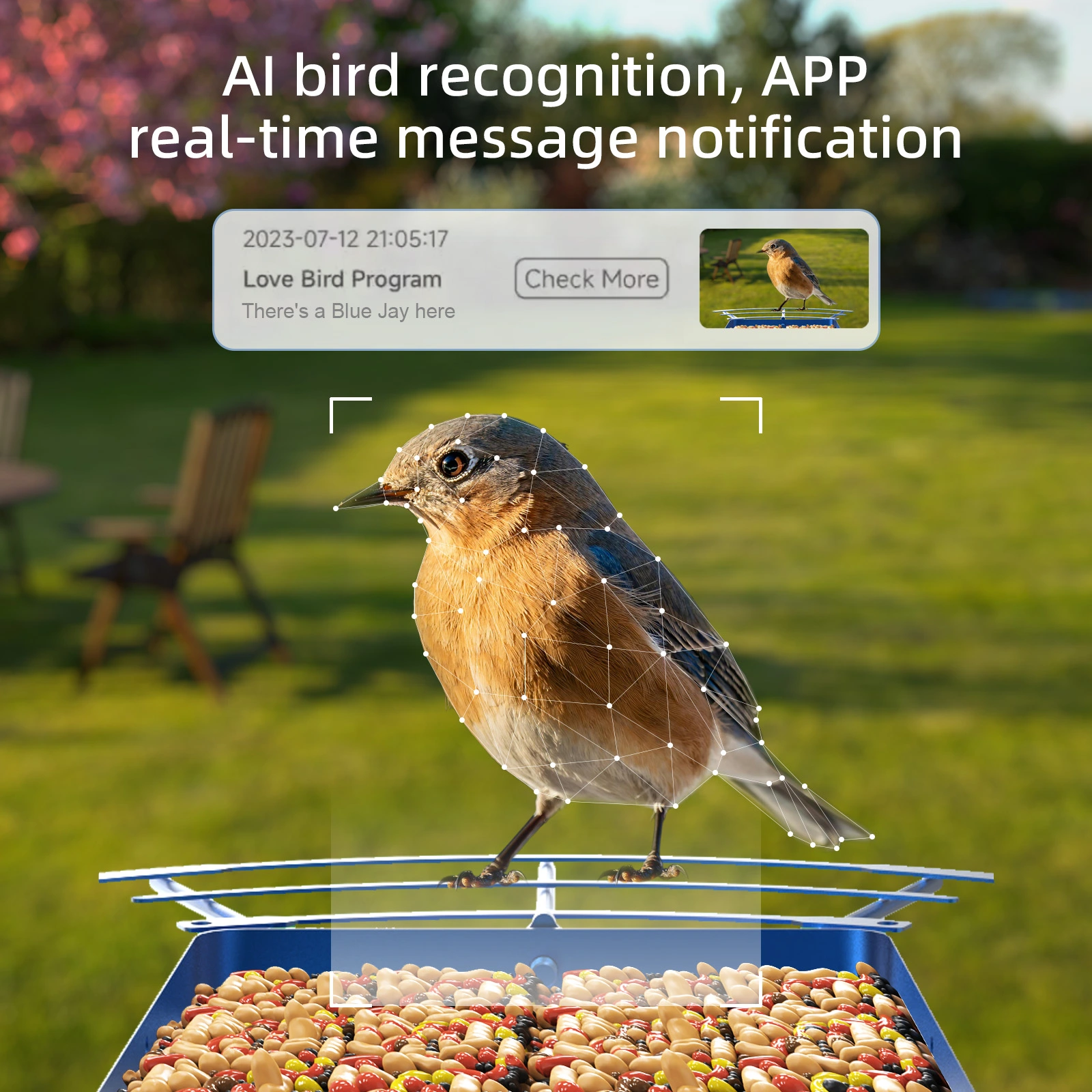 Metal Bird Feeder - Image 2
