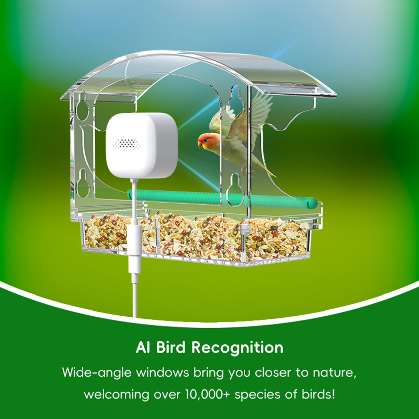 Window Smart Feeder - Image 2