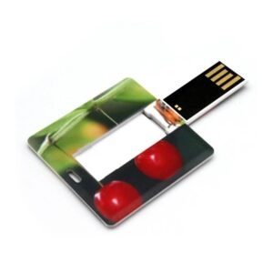 Credit Card Shaped USB Flash Drive-USB02